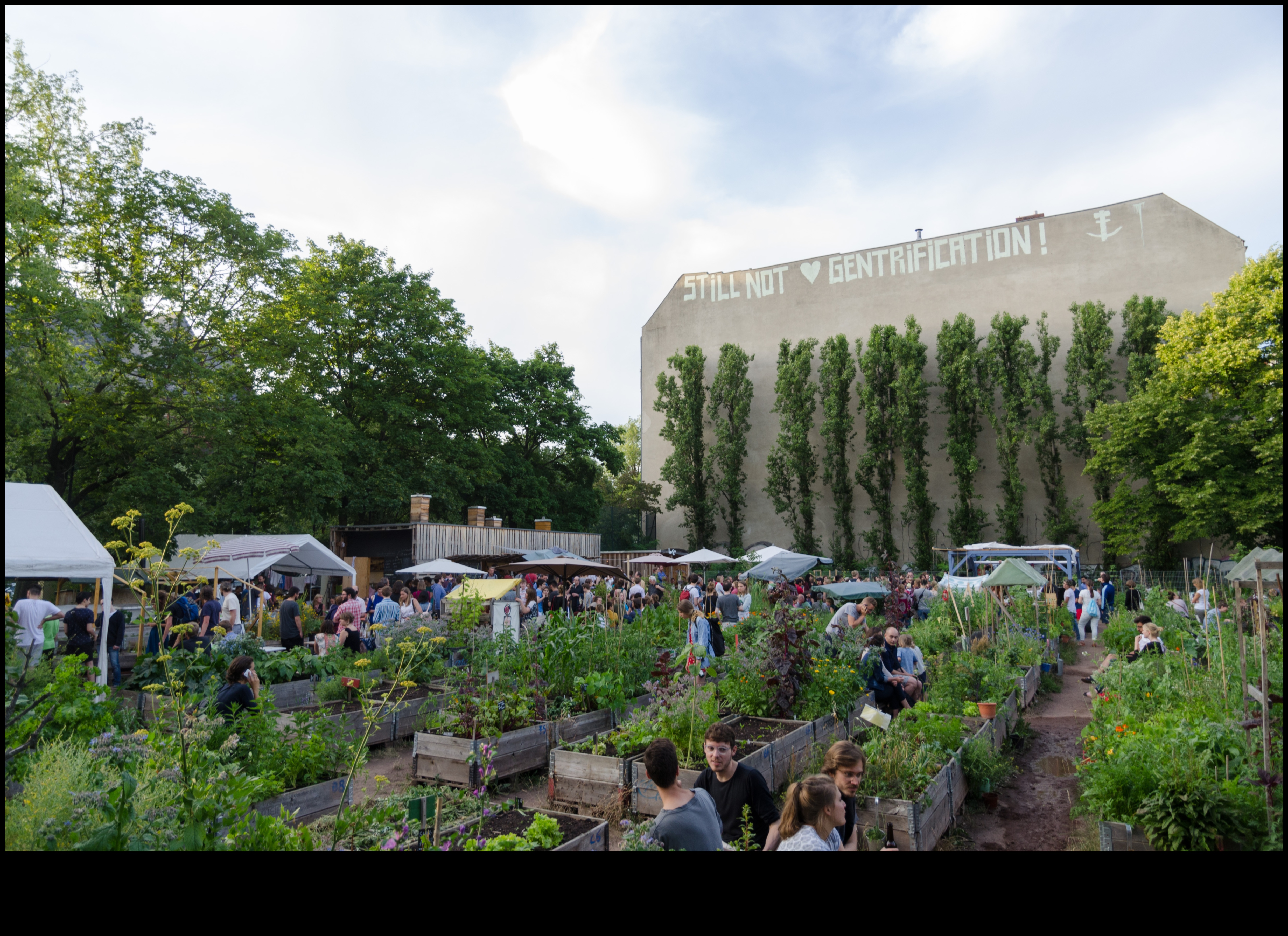 Proiectarea perspectivelor verzi: artă prin diferite lentile în tehnologie ecologică
