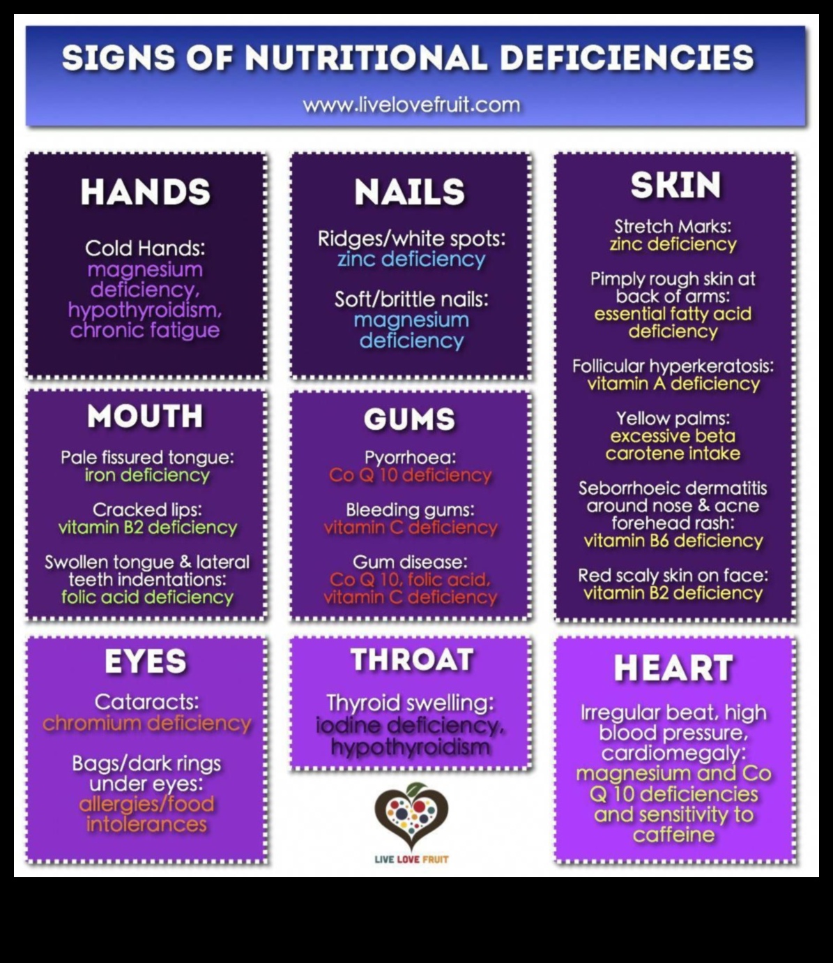 Necesitățile nutriționale: strategii pentru depășirea deficiențelor comune