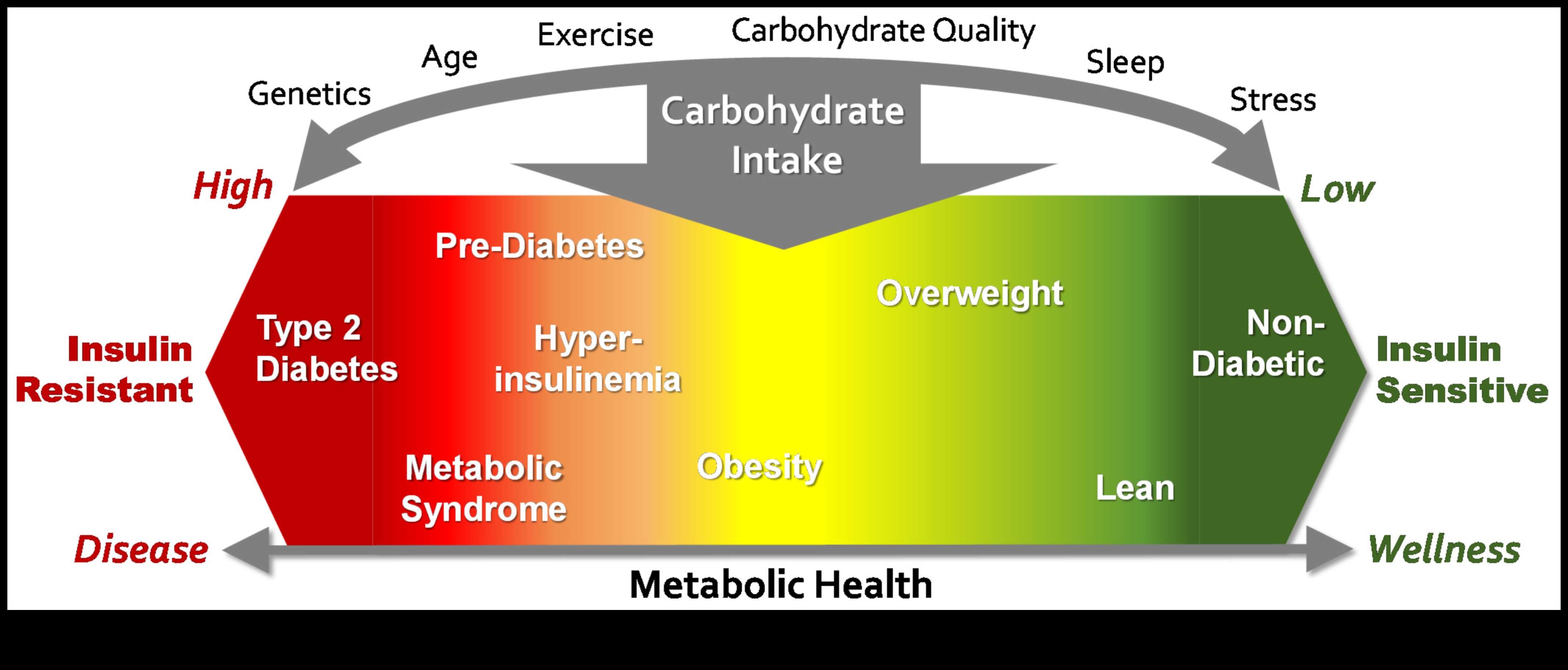 Înțelepciunea carbohidraților O abordare echilibrată a alimentației 4 Înțelepciunea carbohidraților: un ghid cuprinzător pentru echilibrul nutrițional