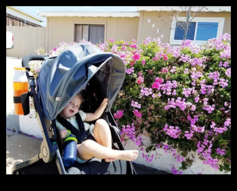 Plimbări moale Modul sănătos și confortabil de a vă duce copilul la plimbare 3 Plimbări moale: plimbări sănătoase și confortabile cu bebelușul