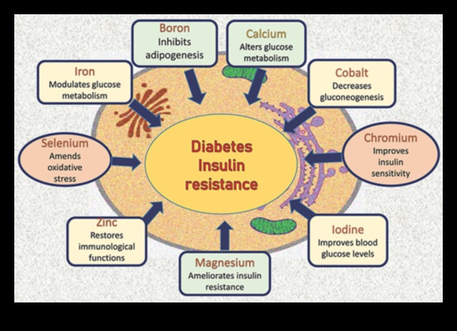 Simfonia de micronutrienți: Orchestrarea sănătății prin nutriție