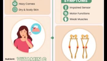 Necesitățile nutriționale: strategii pentru depășirea deficiențelor comune