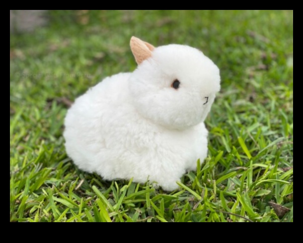 Bunny Bliss: Echipament adorabil pentru bebeluși pe tema iepurelui