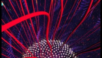 Codarea creativă în Quantum: limbajul artisticității vizuale în explorarea computațională