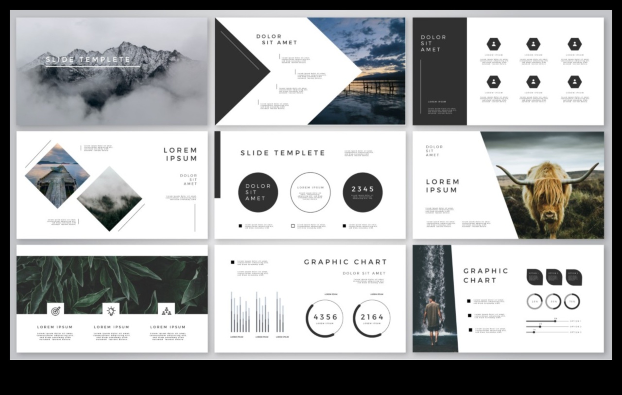 Crearea de modele de impact: Ghidul unui profesionist IT