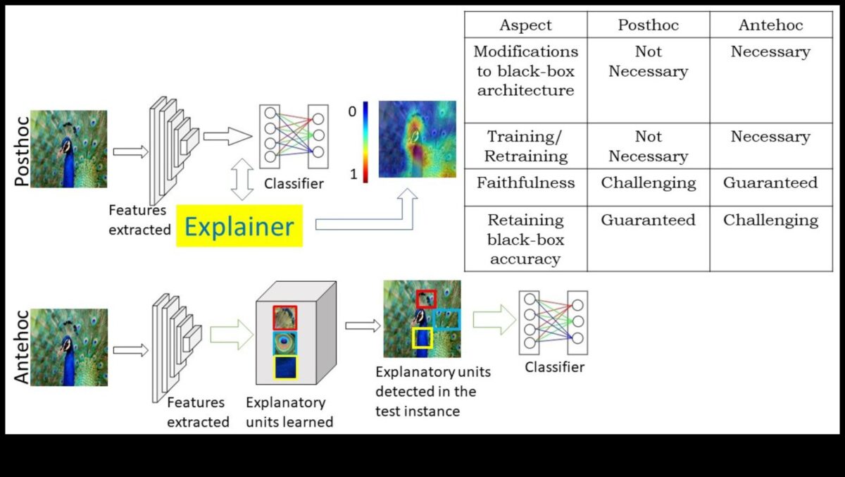De la concept la clic: călătoria unui profesionist în explorarea ML