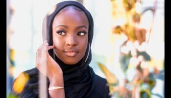 Armonie iluminator și fard de obraz: obținerea unui aspect coeziv al obrajilor