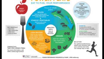 The Power Plate: Valorificarea nutrienților pentru a fi mai puternic