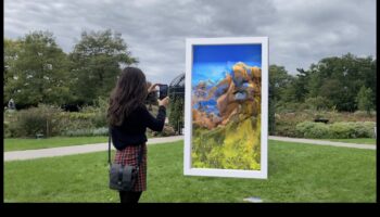 Realități abstracte: arta tehnologiei informației contemporane